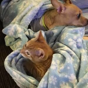 Meet your Posher, Mary